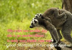 Tamil morning morning Reactions